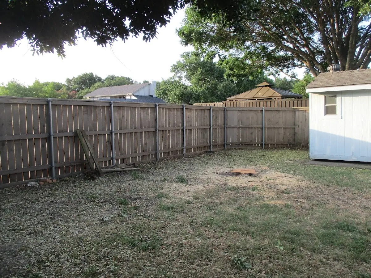 Cleared yard after professional tree removal in State University